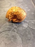 Russula fragrantissima image