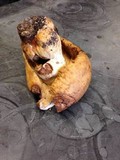 Russula fragrantissima image