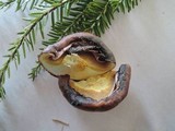 Suillus neoalbidipes image