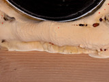 Serpula lacrymans image