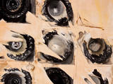 Serpula lacrymans image
