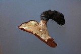 Polyporus tuberaster image