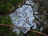 Ainoa geochroa image