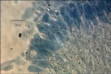 Multiclavula mucida image