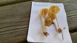 Marasmius strictipes image