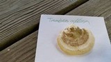 Trametes gibbosa image