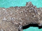 Aspicilia cuprea image