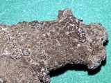 Aspicilia cuprea image