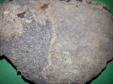 Aspicilia caesiocinerea image