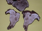 Sarcodon subfelleus image