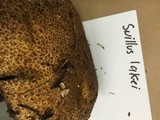 Suillus lakei image