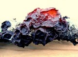 Exidia recisa image
