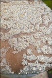 Amanita excelsa image