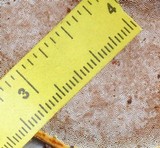 Ganoderma sessile image