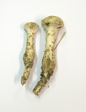 Hebeloma radicosum image