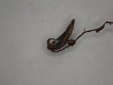 Ciborinia camelliae image