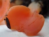 Guepinia helvelloides image