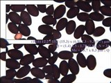 Coprinellus curtus image