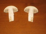 Cortinarius caperatus image