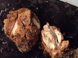 Tolypocladium longisegmentatum image