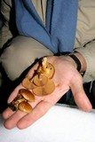 Pholiota nameko image