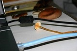 Mycena crocata image