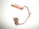 Ophiocordyceps caloceroides image