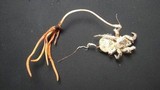 Ophiocordyceps caloceroides image