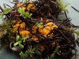 Byssonectria fusispora image