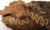 Hypoxylon tinctor image