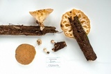 Rickiella edulis image