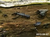 Inonotus andersonii image