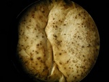 Polyporus cryptopus image
