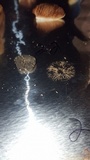 Entoloma sericeum image