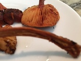 Gymnopilus thiersii image