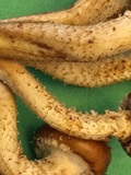 Pholiota adiposa image