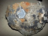 Aspicilia radiosa image