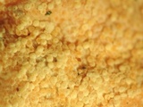 Mycocitrus aurantium image