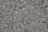 Lecanora crenulata image