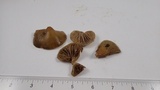 Crepidotus mollis image