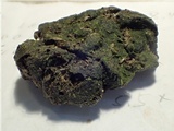 Podospora eminens image