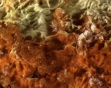 Hypomyces aurantius image
