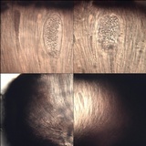 Sarcogyne fallax image
