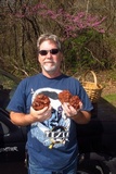 Gyromitra caroliniana image
