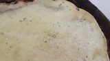 Fomitopsis ochracea image