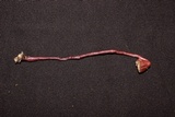 Haddowia longipes image