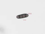 Buellia triseptata image