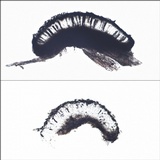 Buellia erubescens image