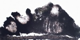 Skyttea pertusariicola image