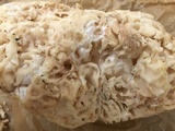 Peziza proteana f. proteana image
